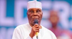 Lagos Hosts Agricultural Innovation Expo January 2027 - Image 2