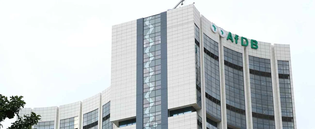 African Development Bank Grants $750K to Nigerian Women - Image 2