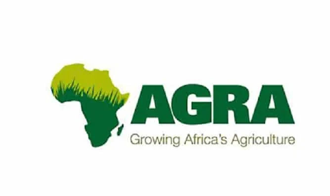 Nigeria Opens Agribusiness Contest for Young Entrepreneurs