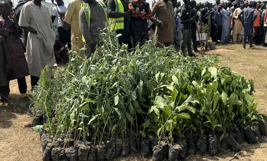 Nigeria State to Plant 11 Million Trees by 2030