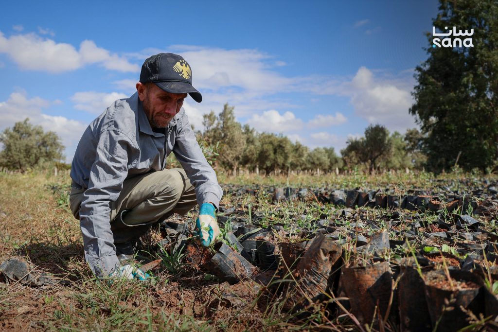 Syrian Nursery Growing 101,000 Trees to Restore Forests