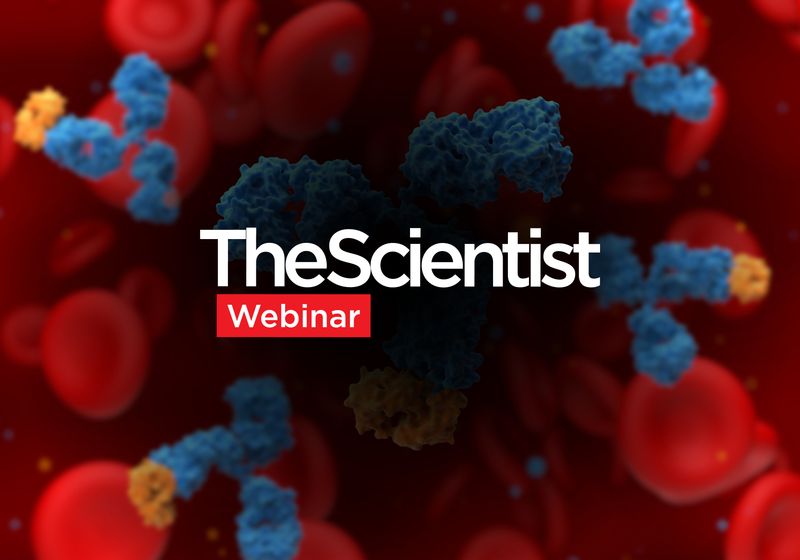 Scientists working with AI computer systems and automated laboratory equipment for antibody discovery research