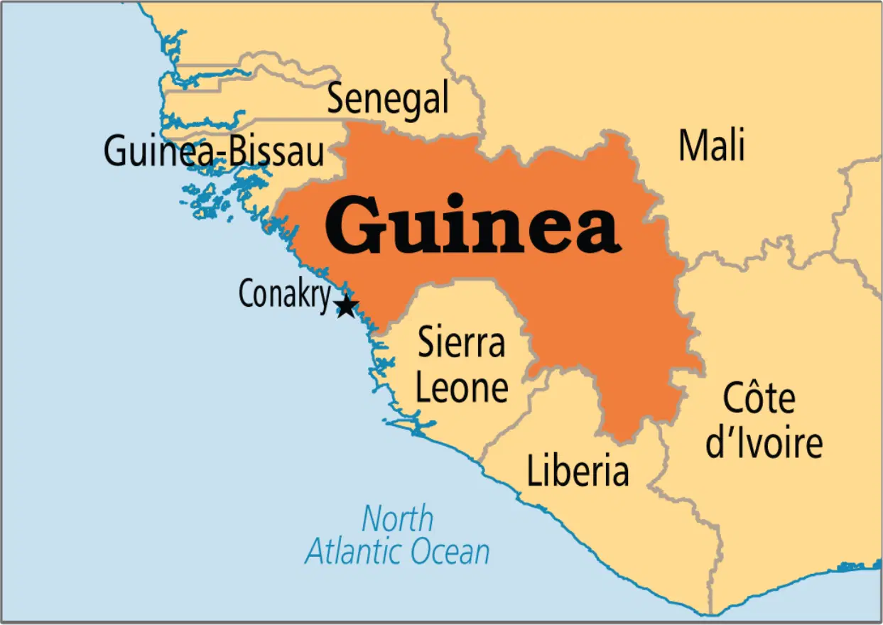 Guinea Frees Opposition Leader After Nearly Two Years