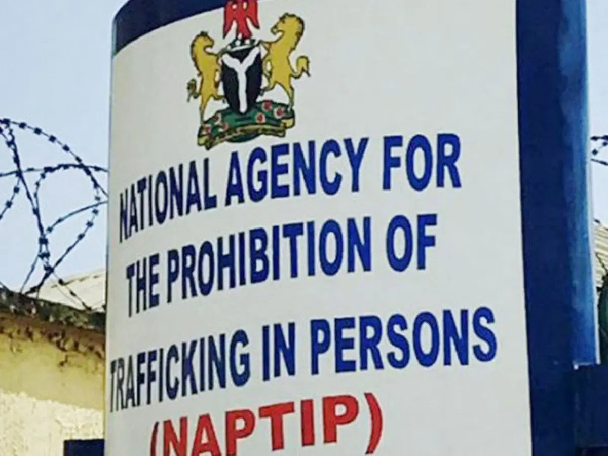 Nigeria Rescues 3,000 Trafficking Victims, Secures Convictions
