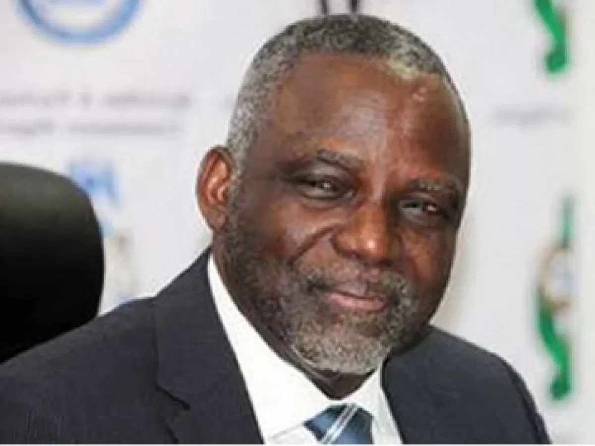 Robotics Pioneer Barth Nnaji Turns 70, Powering Nigeria