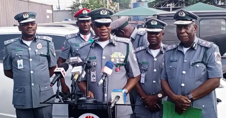 Nigeria Customs Rescues 5 Endangered Pangolins in Taraba