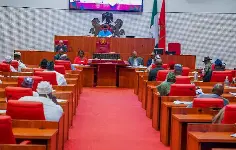 Nigeria Senate Advances Bill to Treat Suicide as Health Crisis