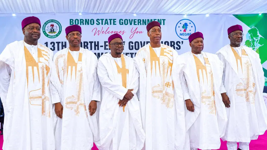 Northeast Nigeria Governors Launch Regional Airline