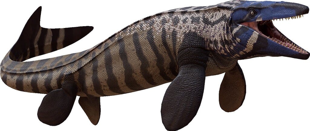 Scientists Find New 43-Foot Sea Rex in Museum Collections
