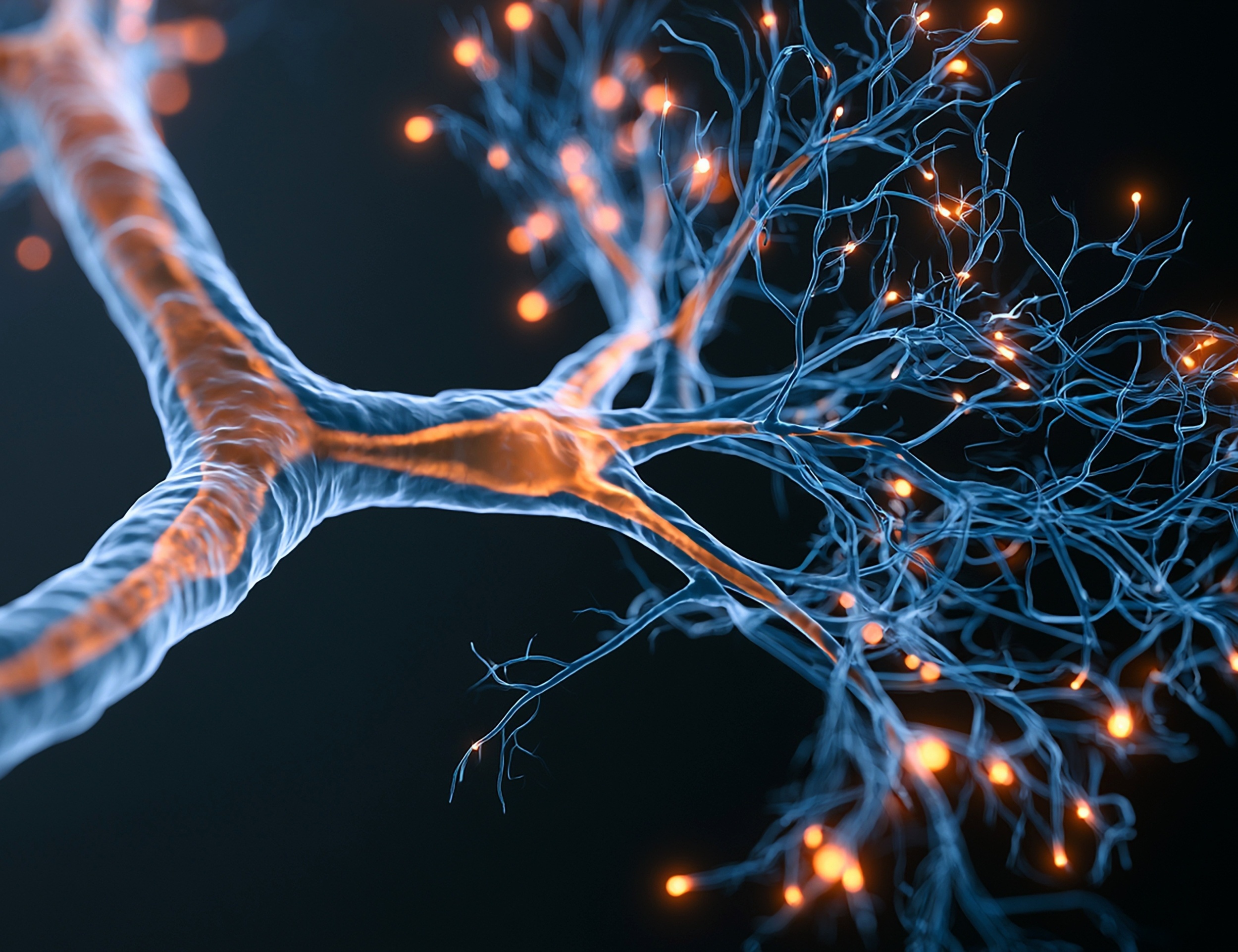 UCLA Maps Brain Circuit That Files Memories Apart