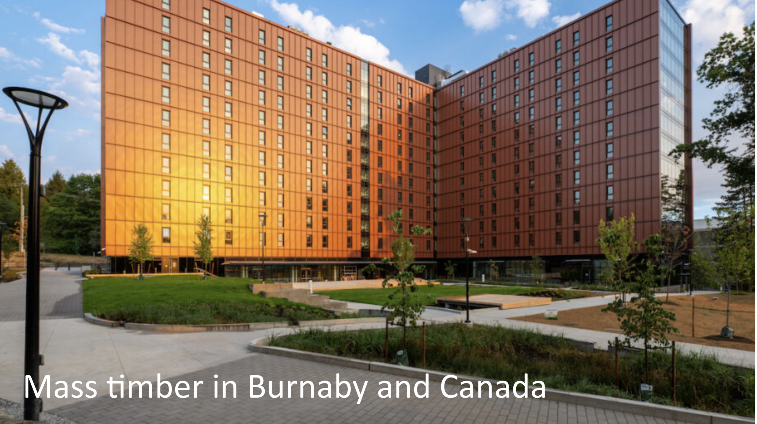 Canada's Mass Timber Buildings Lock Carbon Out of the Sky - Image 3