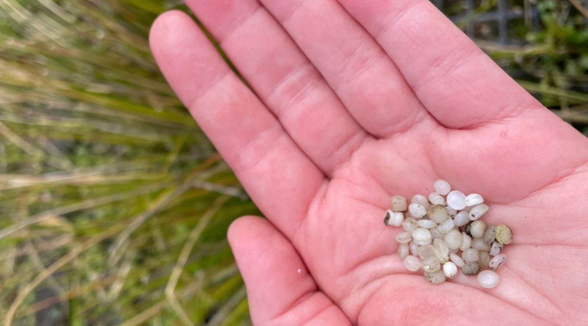 Illinois Becomes First Great Lakes State to Ban Pellet Spills