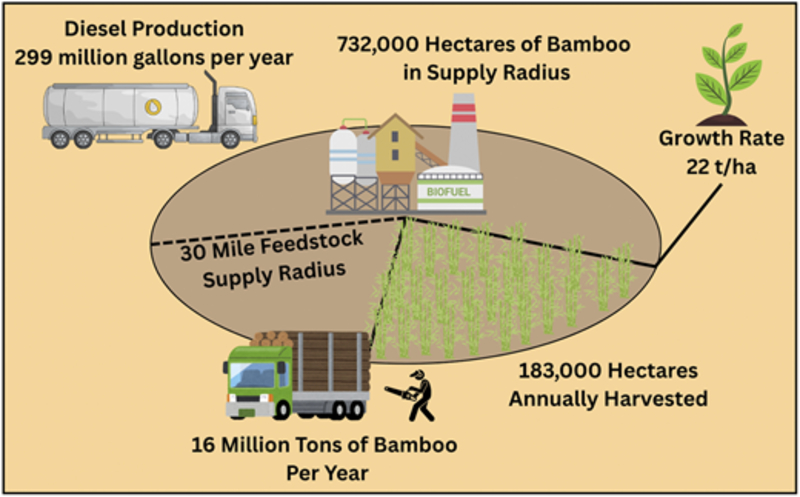 Scientists Turn Bamboo into $2.75 Clean Biofuel