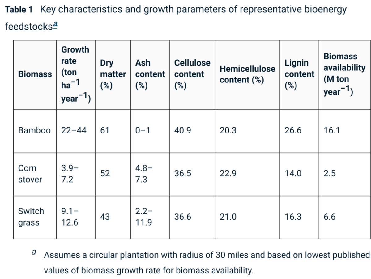 Scientists Turn Bamboo into $2.75 Clean Biofuel - Image 2