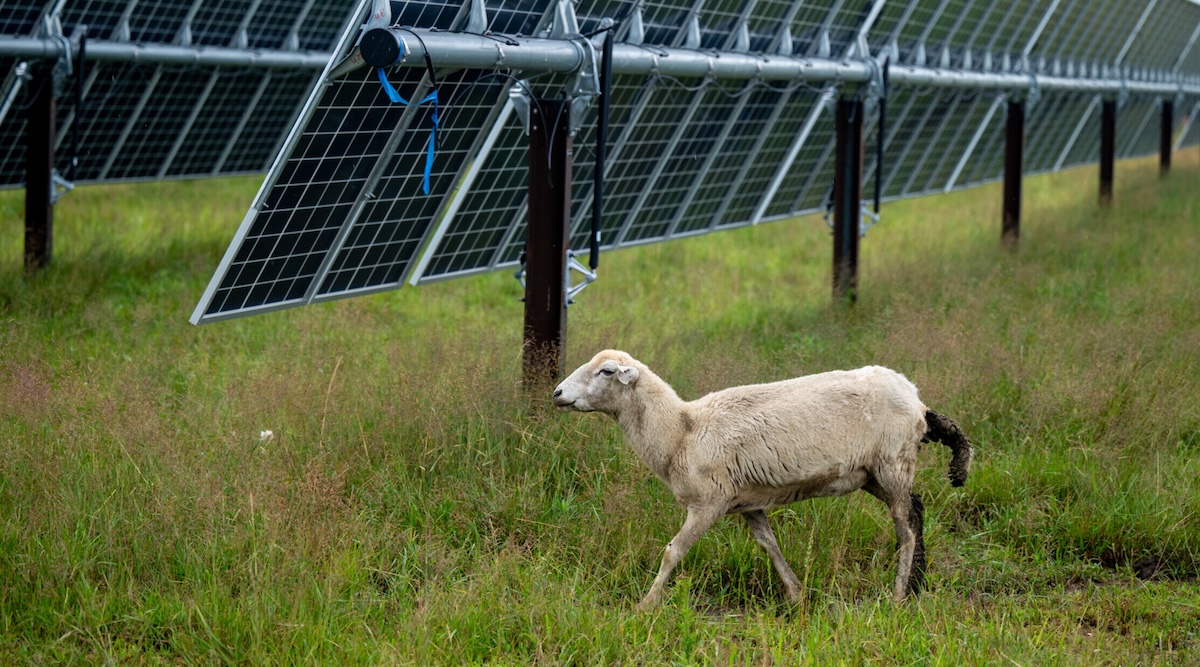 Indiana Farmers Earn Extra Income from Solar Panels