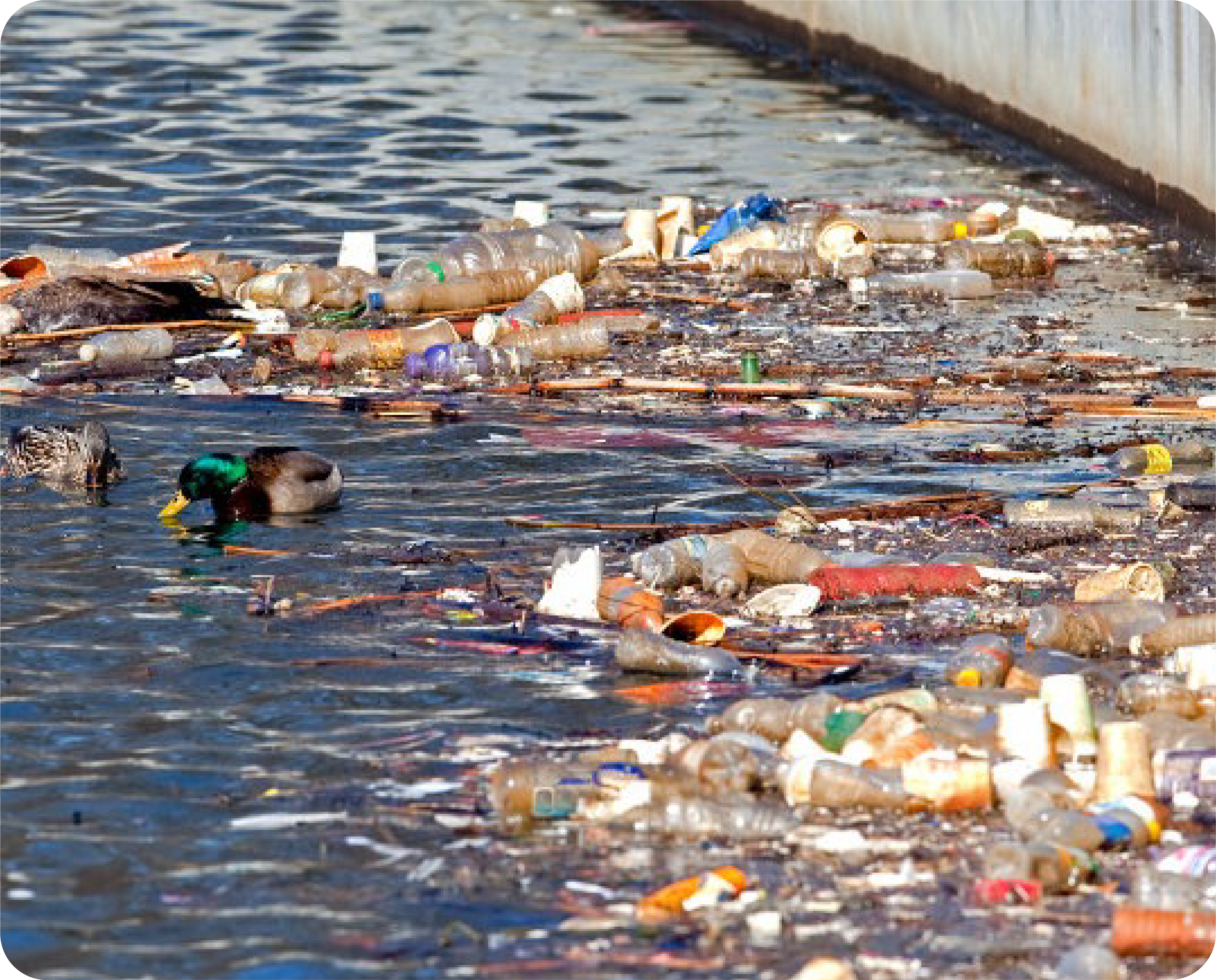 Big Brands Push Paper to Replace Plastic Packaging