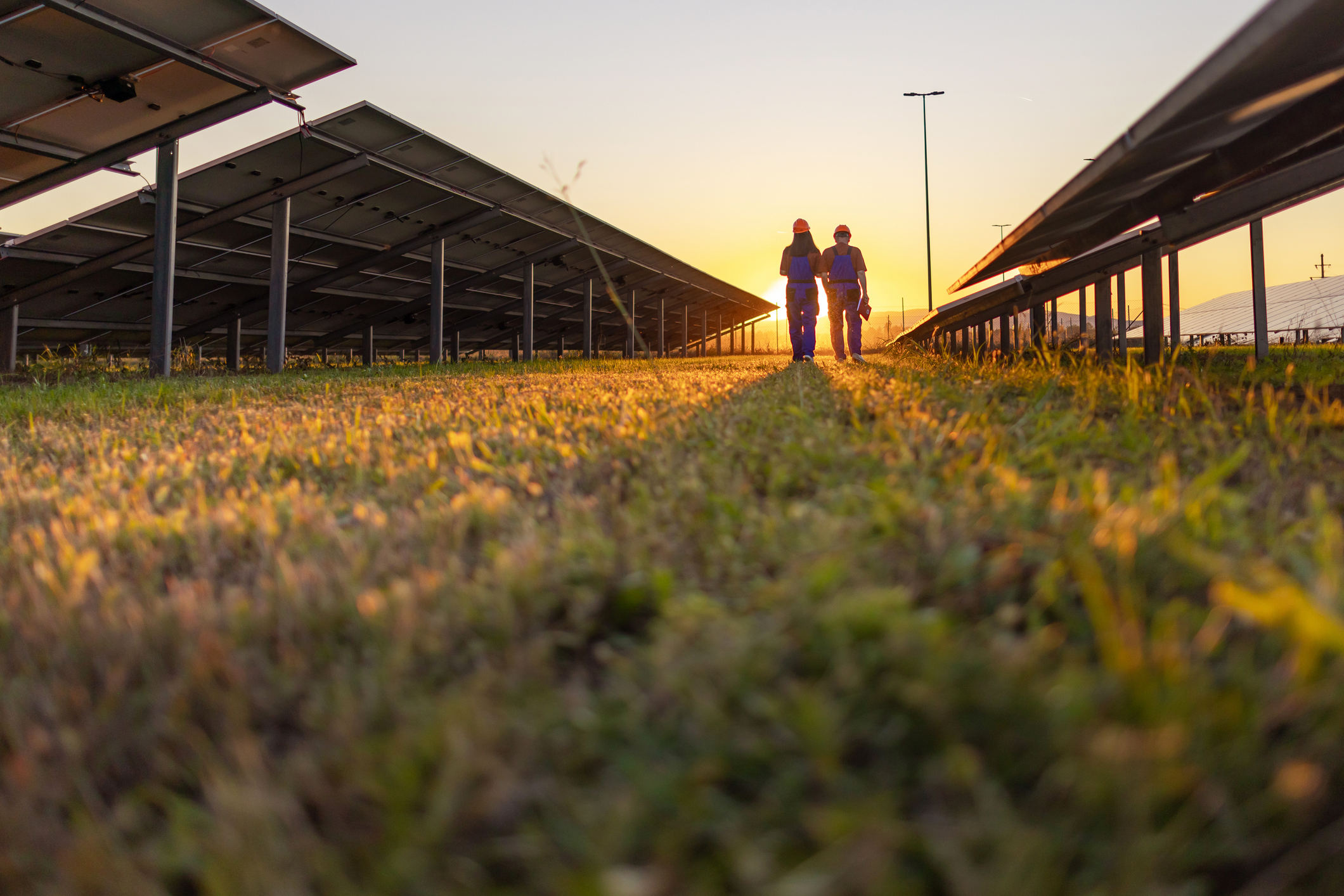 Africa Solar Installations Surge 54% in Historic 2025