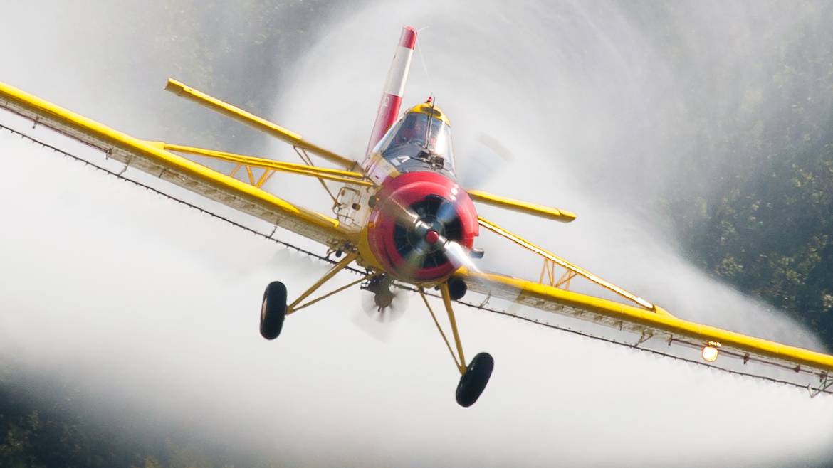 Judge Blocks Amazon Coca Spraying, Orders Health Study