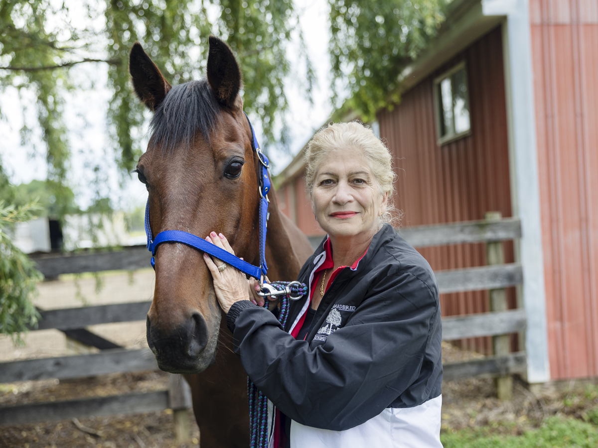 Retired Racehorse Becomes NYC Hero After Daring Arrest