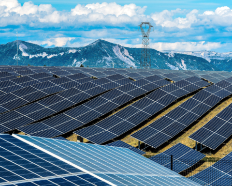New Climate Strategy: Make Fossil Fuels Unprofitable - Image 5