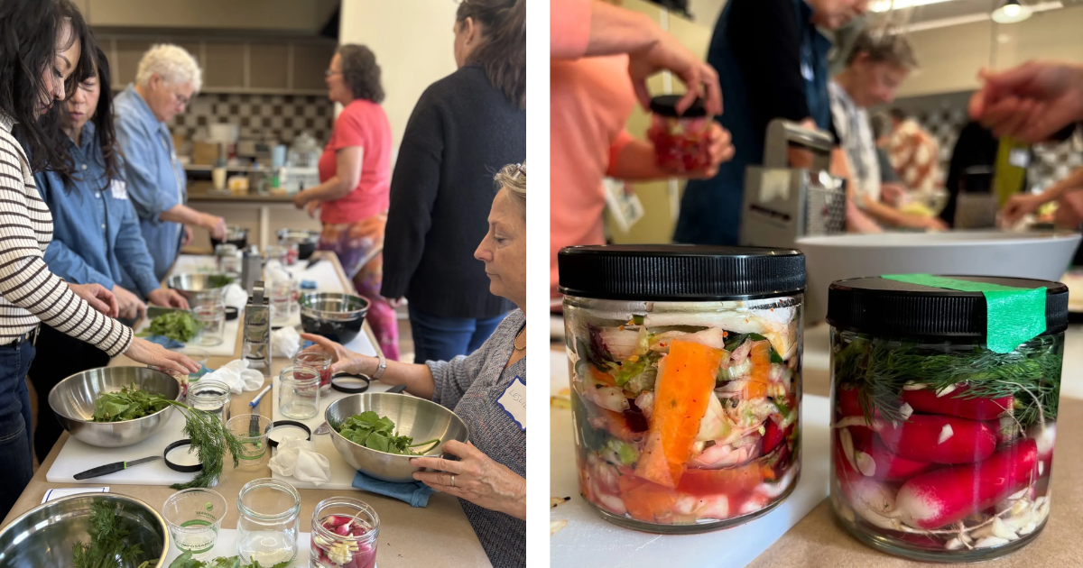 Hands packing colorful vegetable scraps into glass jar for fermenting sauerkraut at community workshop