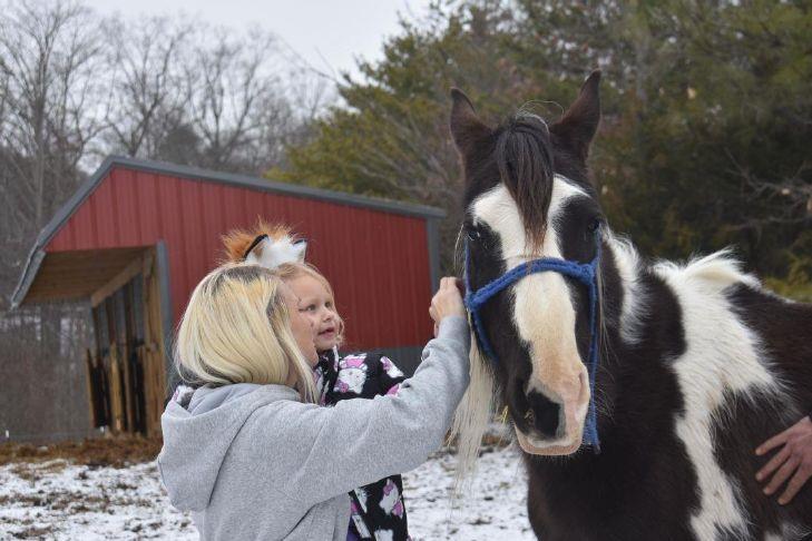 Tennessee Rescue Saves 100 Animals from Turtles to Foxes