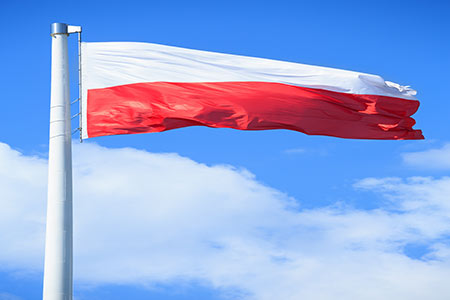 Sweden's Tavion Raises €50M for Poland Battery Parks