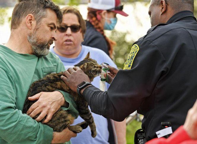 Firefighters Save Pets From Flames Across Connecticut