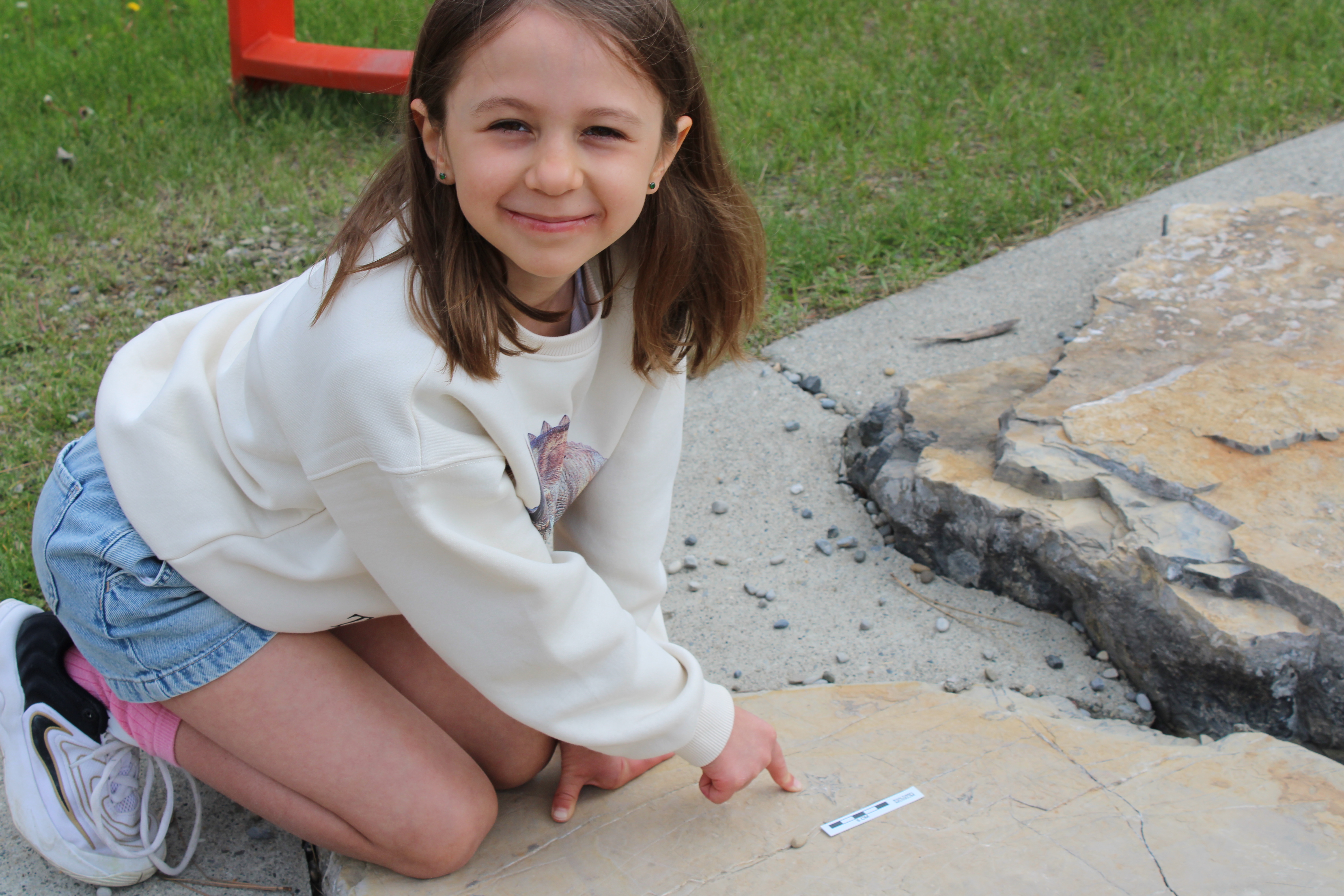 7-Year-Old Finds 400-Million-Year-Old Fossil at Playground