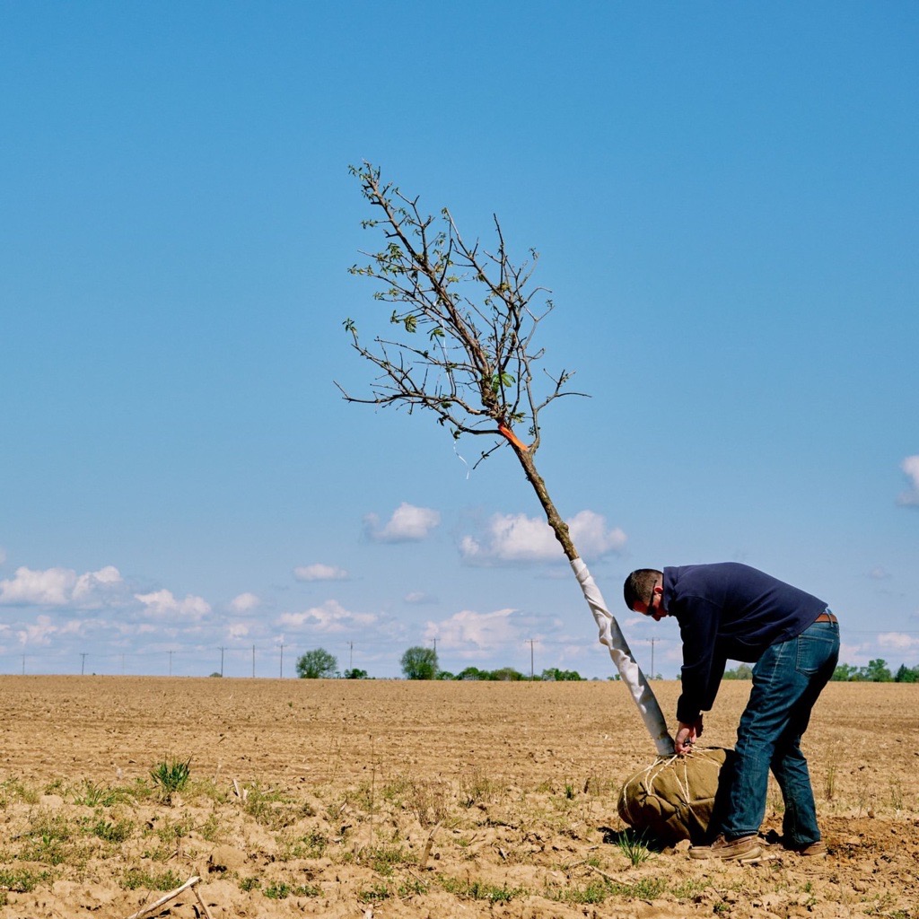 Delaware Doubles Down on Trees to Fight Climate Change