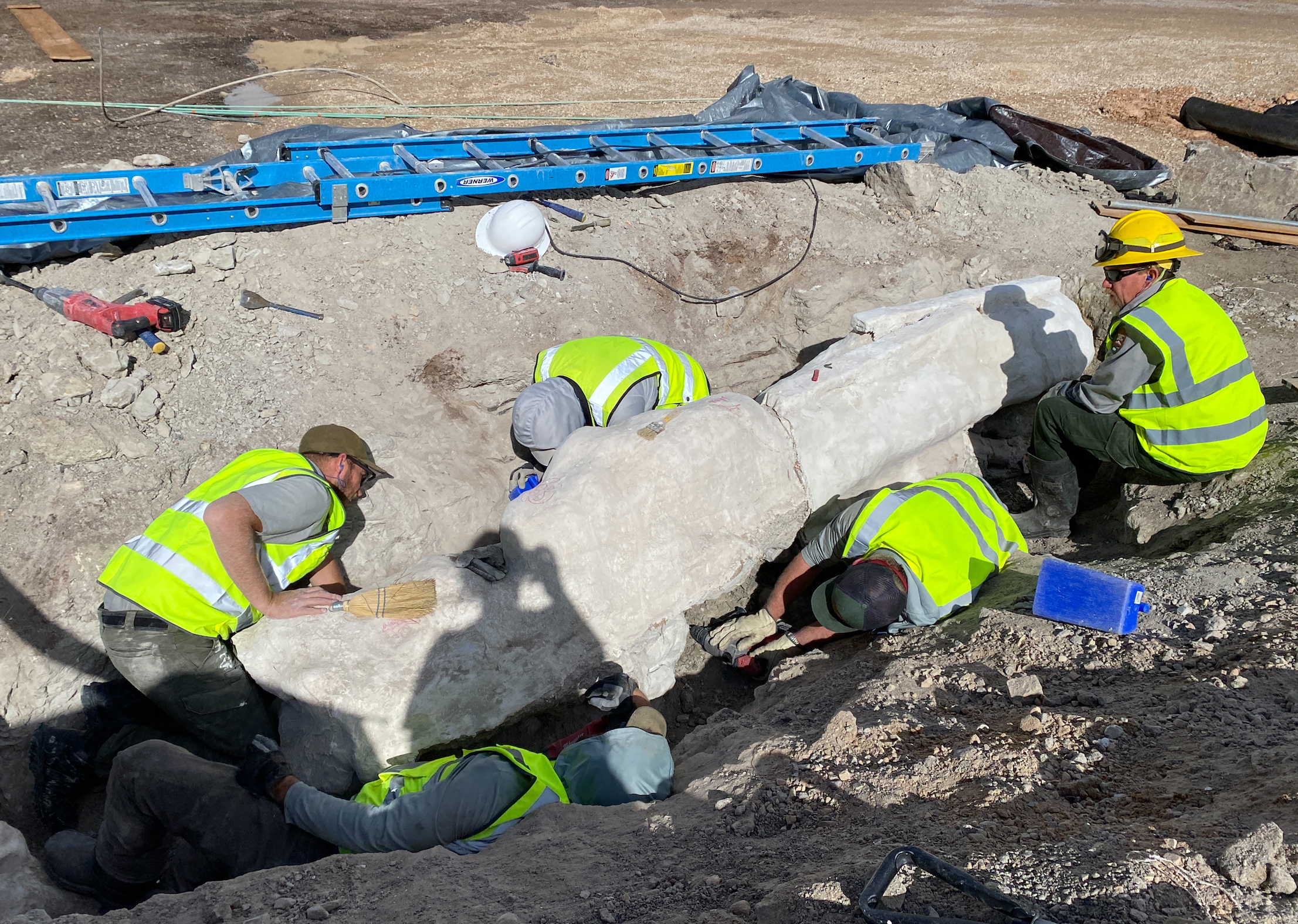 First Fossil Discovery in 100 Years at Dinosaur Monument