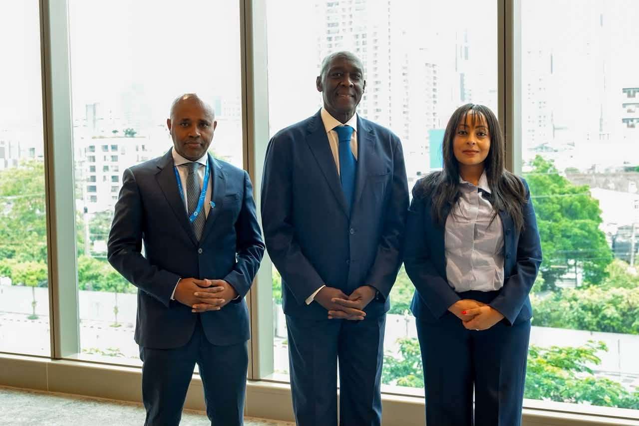Ethiopia Courts Private Investment in Housing and Energy