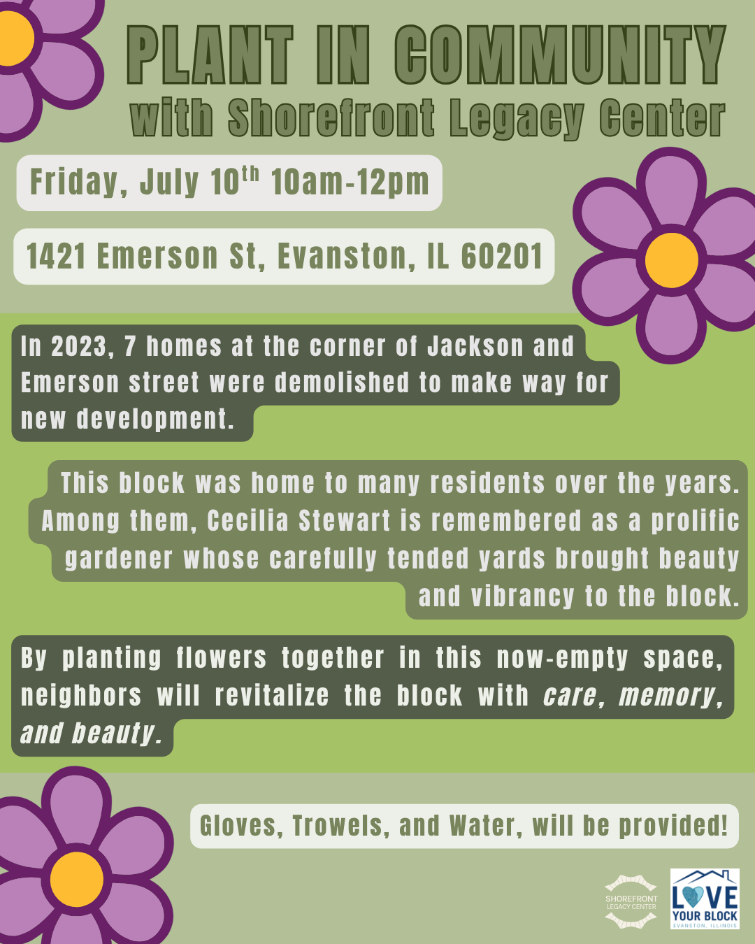Evanston Volunteers Transform Vacant Lot Into Garden Oasis