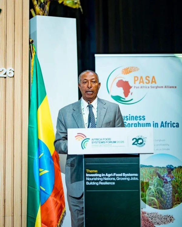 Ethiopia Turns Sorghum Into Jobs and Export Powerhouse