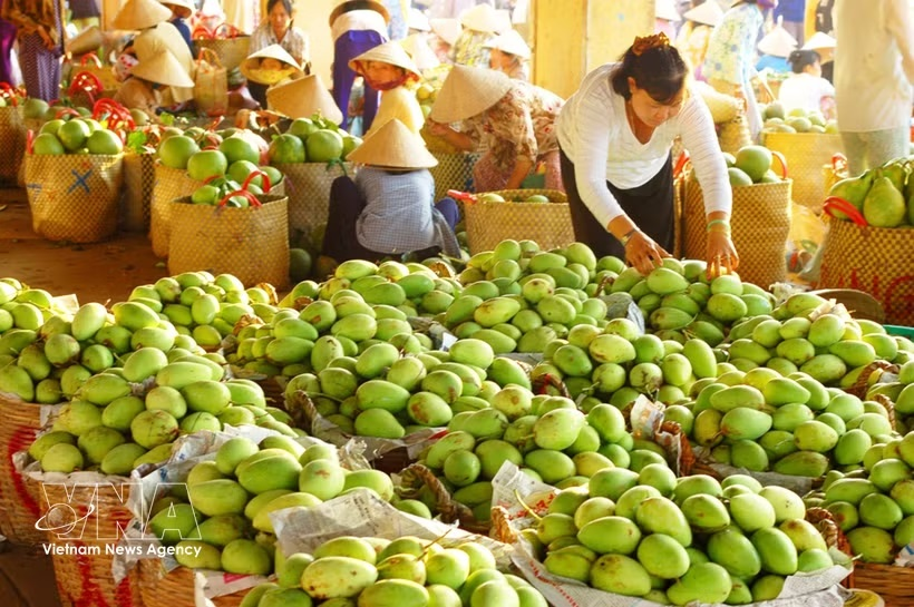 Vietnam's Trade Soars 28% as Economy Hits 8.2% Growth