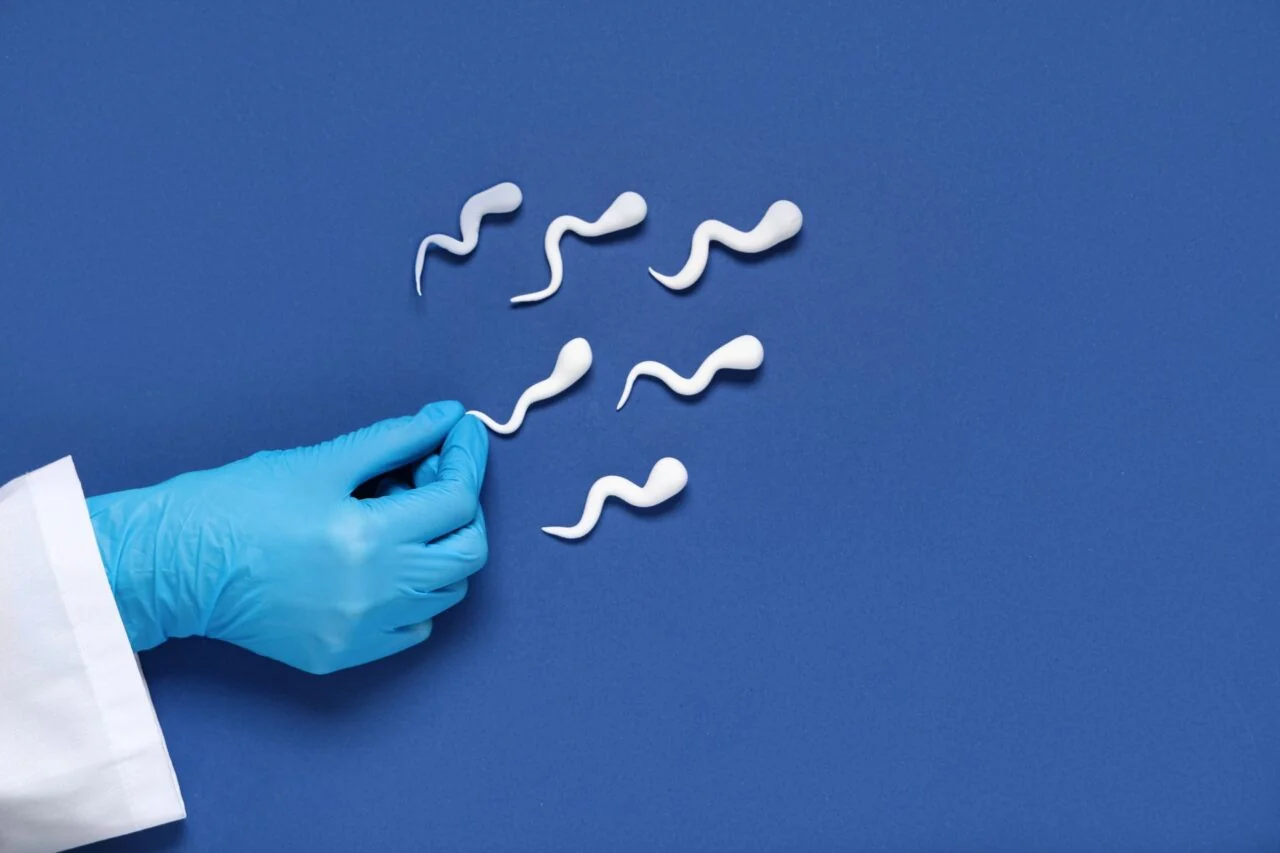 Lab-Grown Sperm Creates Embryos in Fertility Breakthrough - Image 4