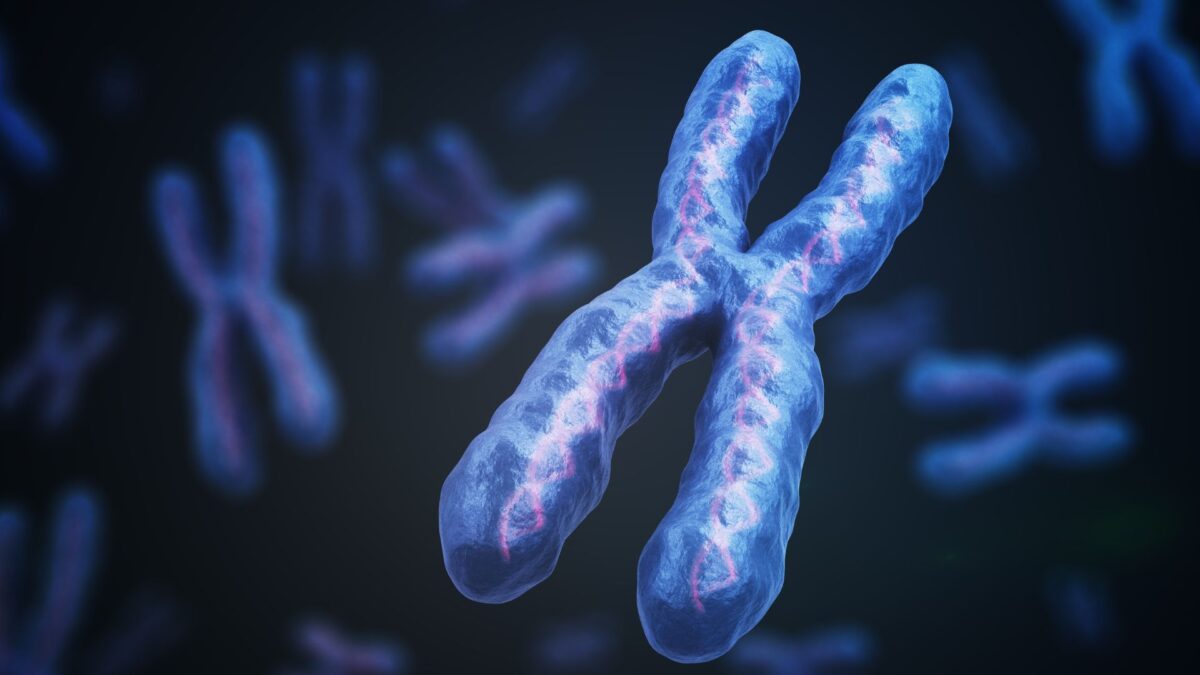 Scientists working with gene-editing technology in laboratory for Down syndrome research breakthrough