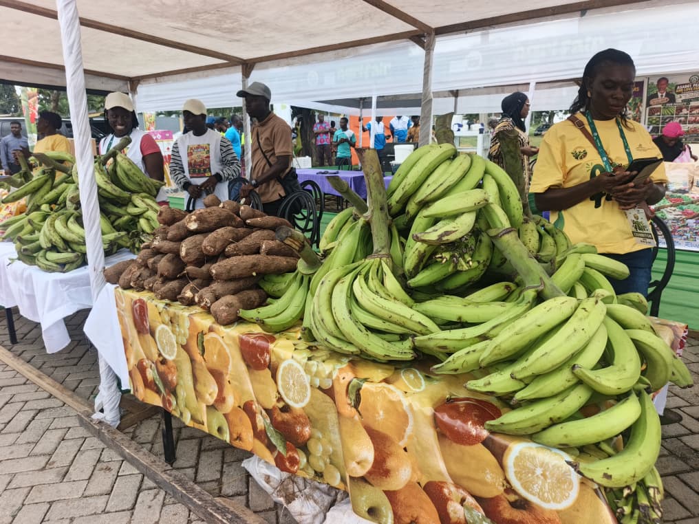 Farmers and agricultural businesses gathering at outdoor fair displaying produce and farming equipment in Obuasi Ghana
