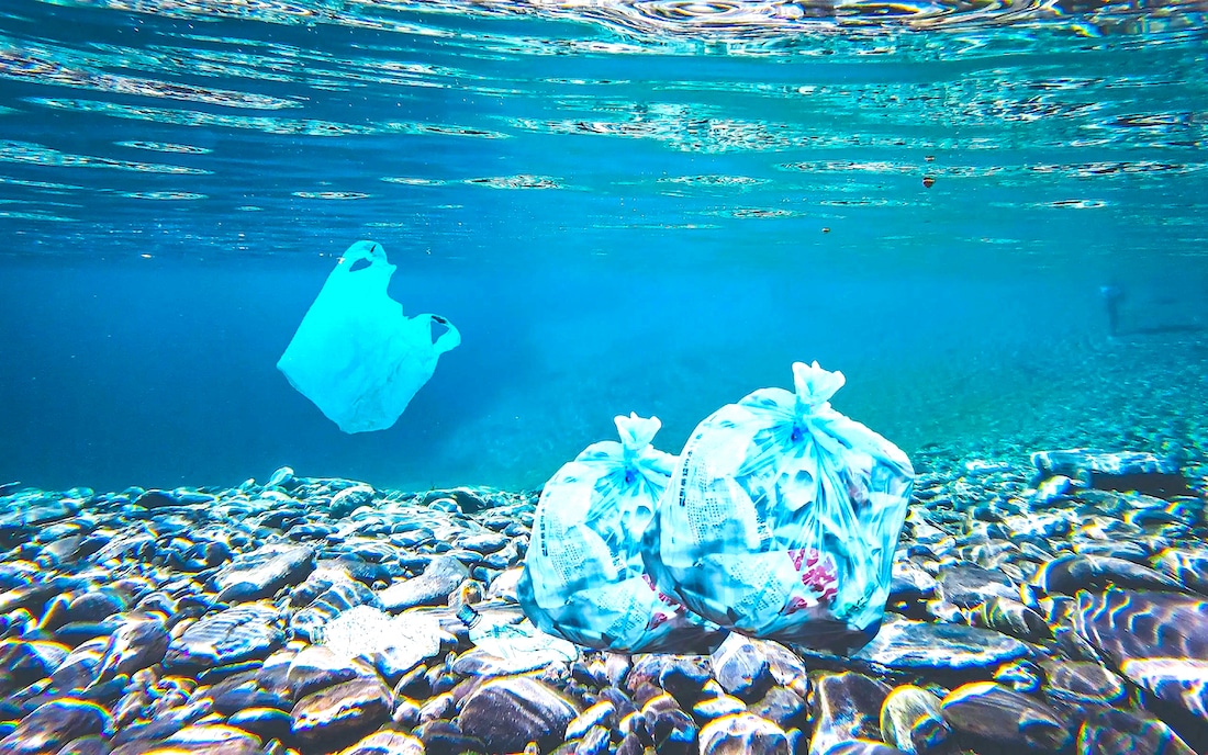 Scientists Find Enzyme That Eats Plastic and Antibiotics