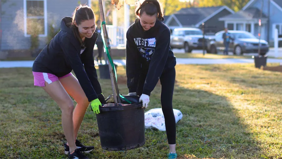 500 Free Trees for Greenville After Hurricane Helene