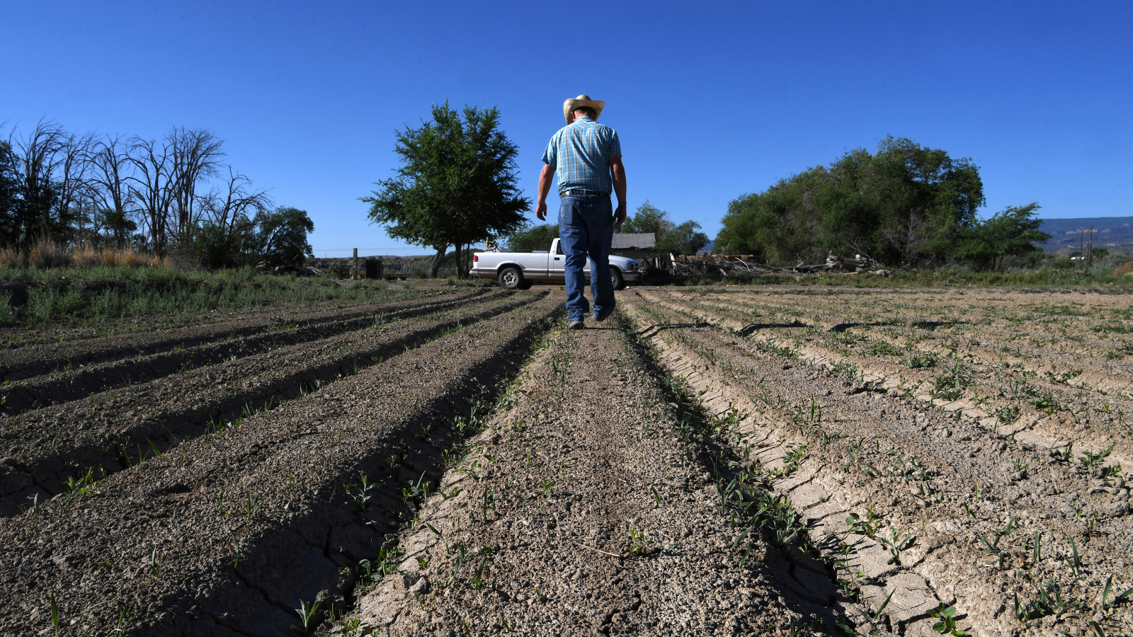 Colorado Ranchers Back Boulder Climate Case Against Big Oil