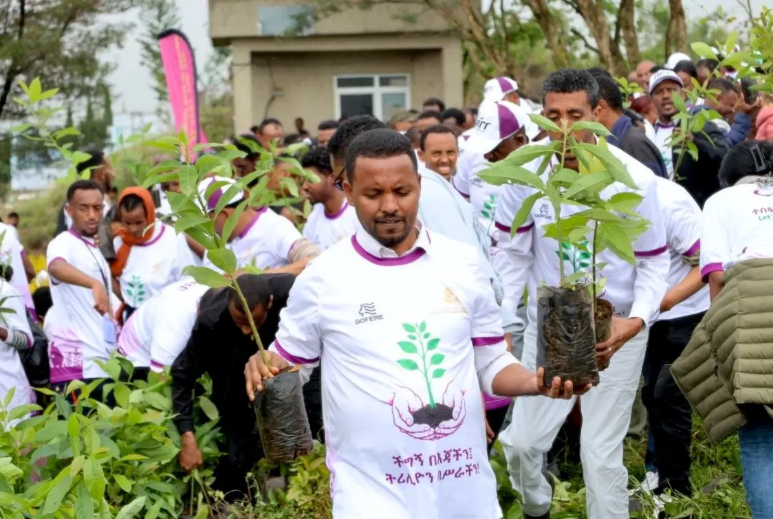 Ethiopia Plants 47 Billion Trees in 7 Years - Image 2
