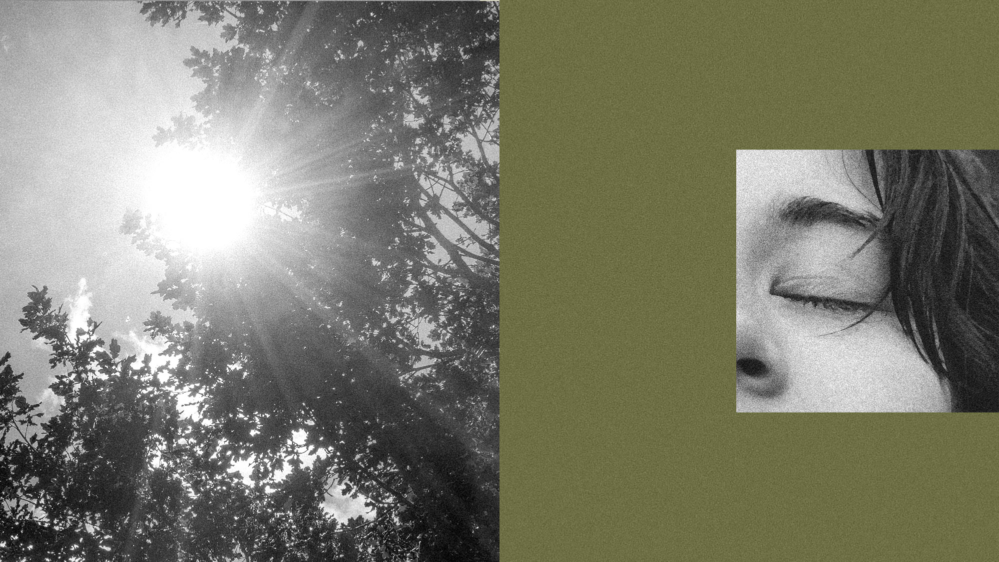 Why Nature Connection Fights Climate Anxiety Better