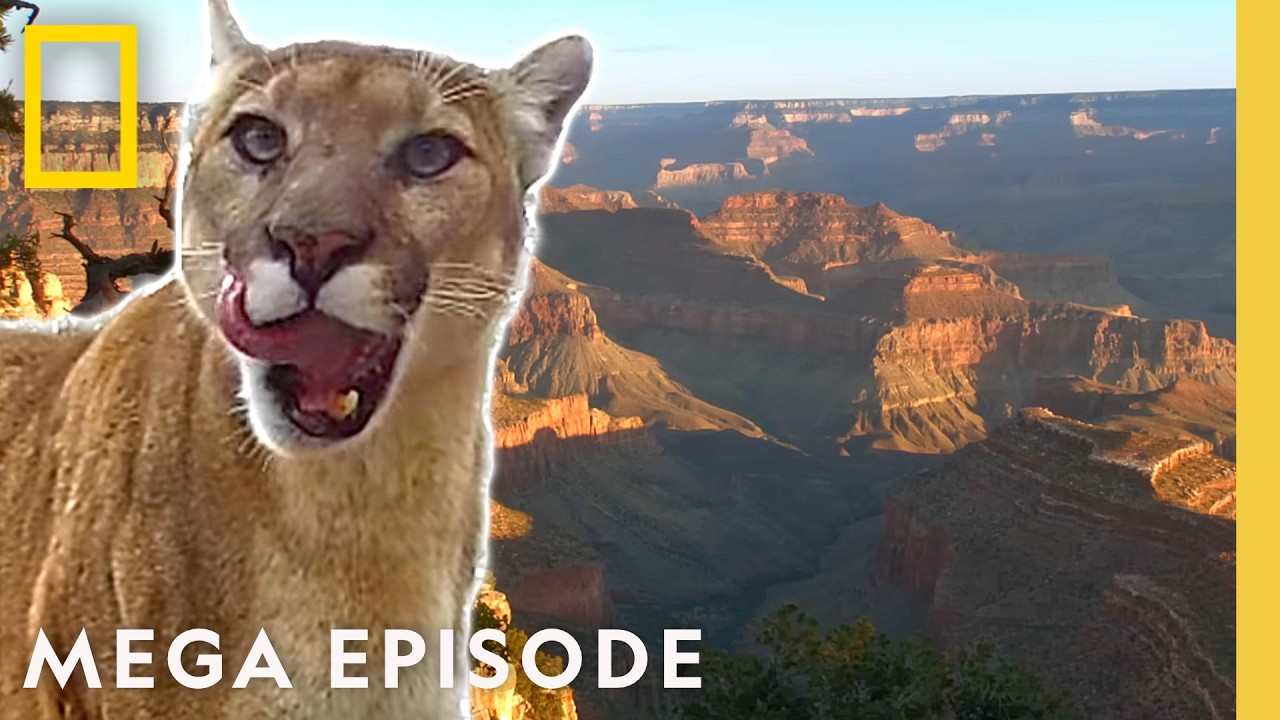 National Geographic Releases 2-Hour National Parks Special