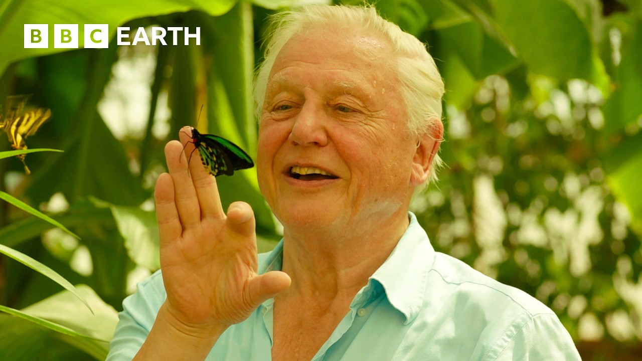 David Attenborough Celebrates 100th Birthday with BBC