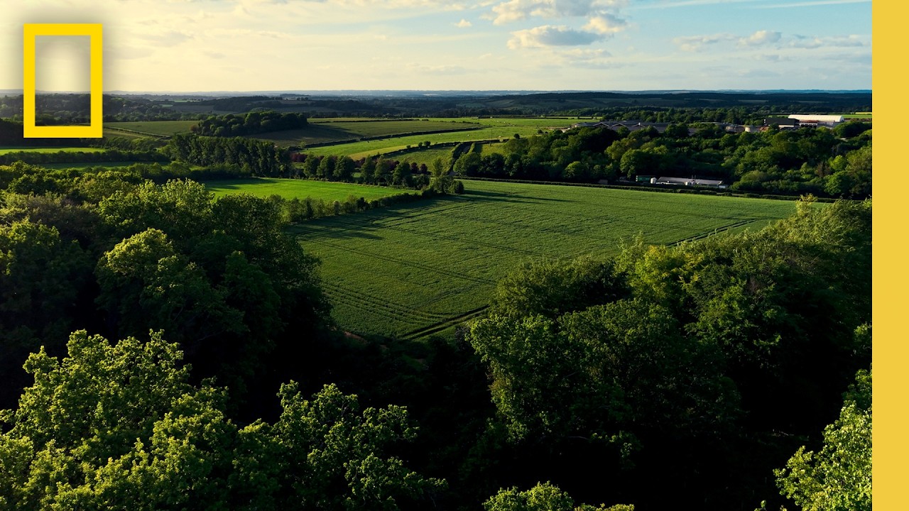 UK Farm Shows How to Rebuild Soil Lost for Generations