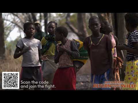 Zambia Wildlife Comeback Hits $150K Fundraising Goal