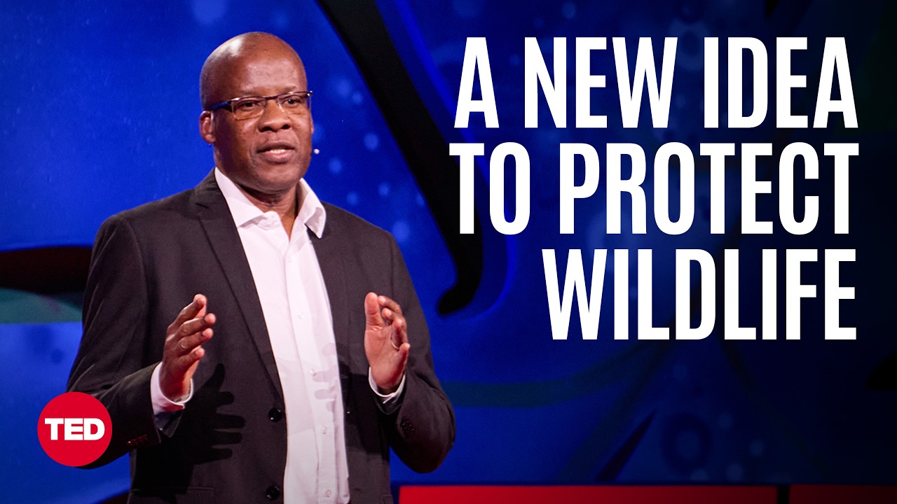 Kenyan Conservationist's Plan to Bring Lions Home