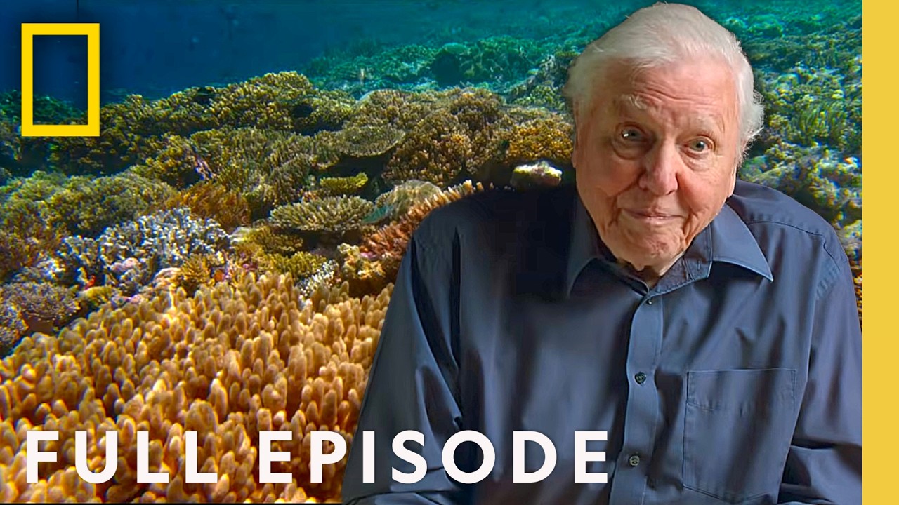 David Attenborough Shows How Oceans Can Be Restored