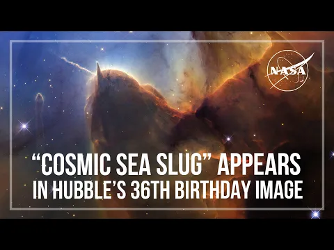 Hubble Telescope Captures Stunning Star Birth at 36 Years Old - Image 4